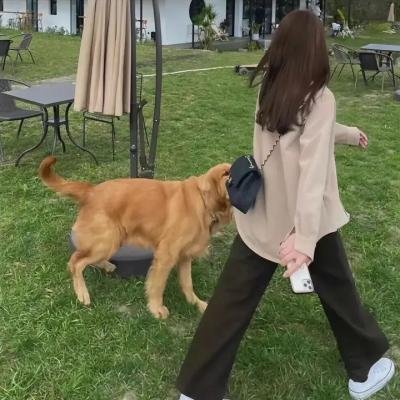 镜中影