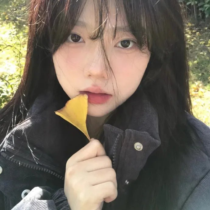 二凤